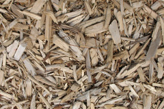 biomass boilers Clatto